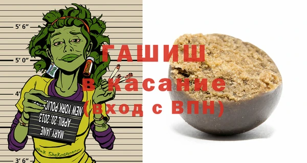 индика Алзамай